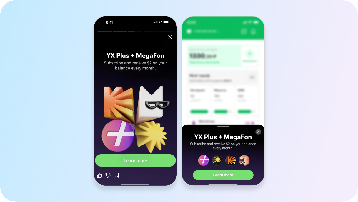 partner subscription bundle